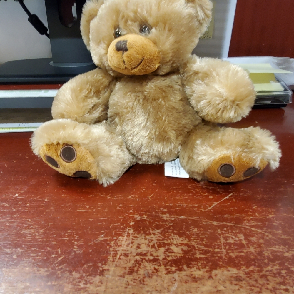 Adorable Tan Plush Teddy Bear